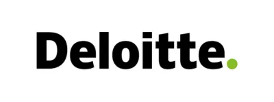 Big 4 Consulting Firms