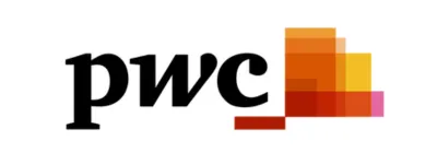 Big 4 Consulting Firms