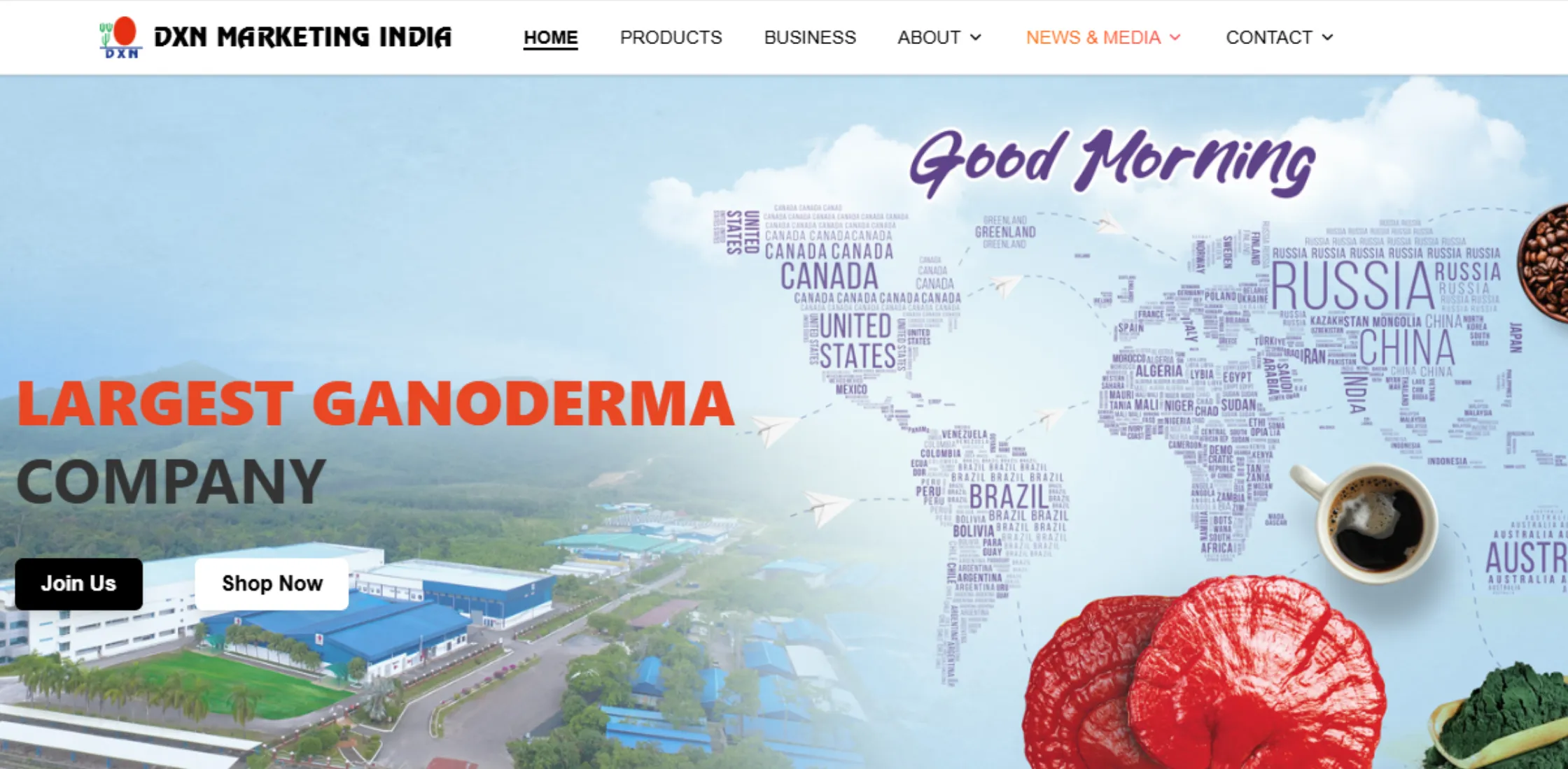 DXN-India-network-marketing-companies-in-India