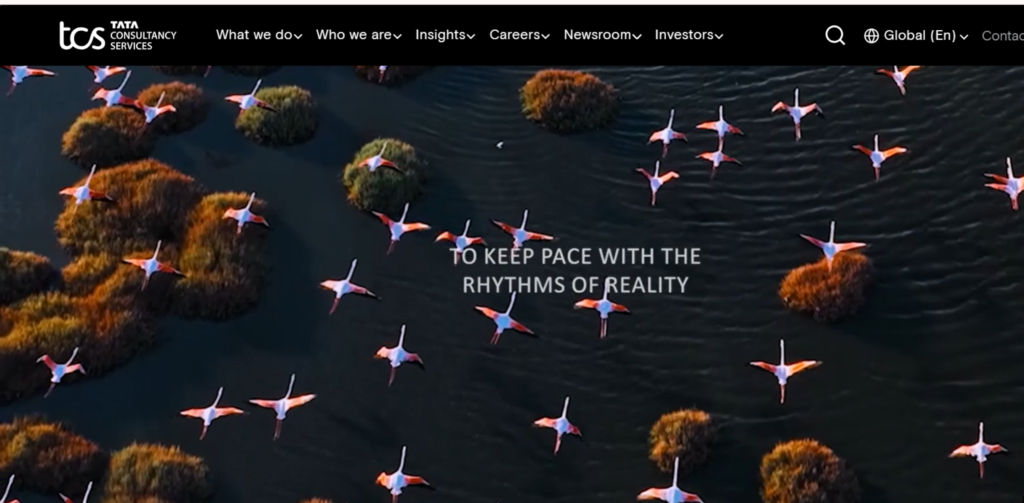 IT Companies in Ahmedabad