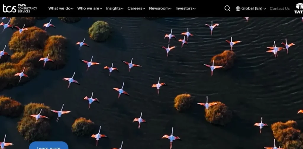 IT Companies in Magarpatta Pune