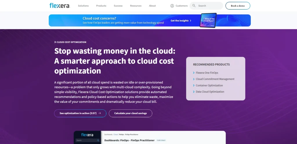 Cloud Cost Management Tools-Flexera One
