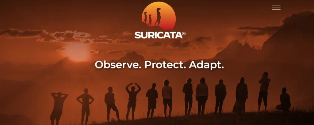 Suricata-  Open Source Cybersecurity Tool